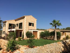 Finca-Rasen (1)