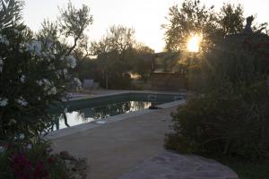 IMG 0962