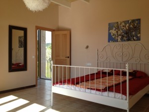 IMG 1458 (1)