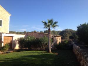 Casita